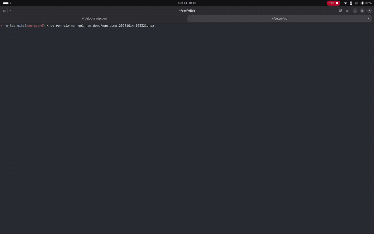 NaN Debug Viewer