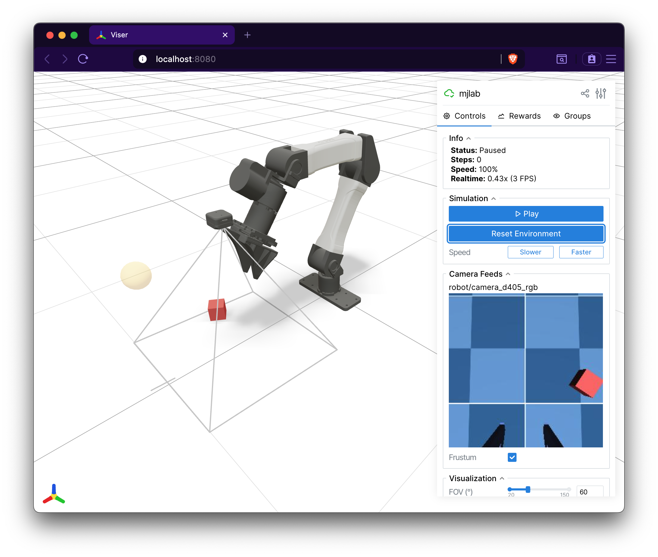 Viser viewer showing camera image panels and frustum visualization